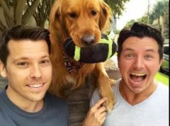 論演技，你恐怕比不上一只狗。。。