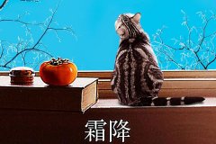 霜降丨縱然霜華盡染，心中美好如初